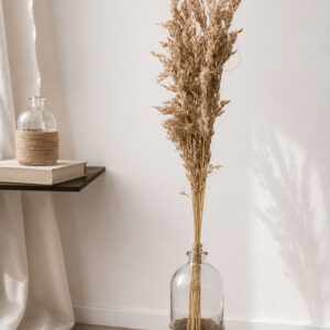 Ziergras "Diss" natur 100cm (1 Bund)
