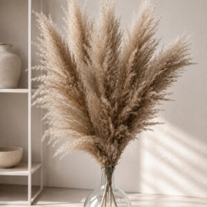 Pampasgras Deko "Variegata" 90cm (1 Bund / 5 Stk.)