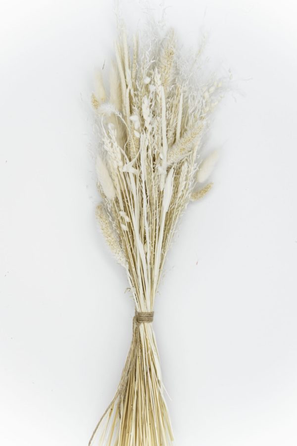 Trockenblumen