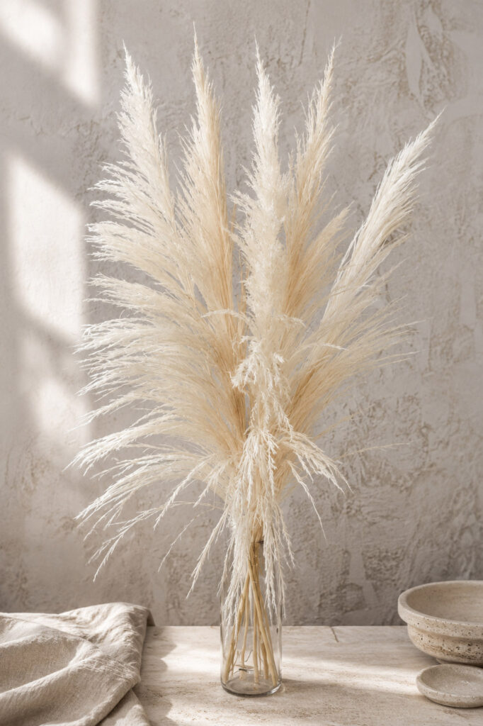 Pampasgras gebleicht "Selloana"  110cm (1 Bund / 5 Stk.)