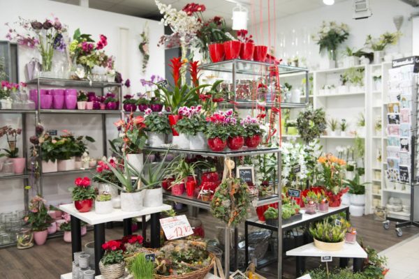 Blumenladen Ansbach Trockenblumen - Trockenblumenstrauß Blumen Heller