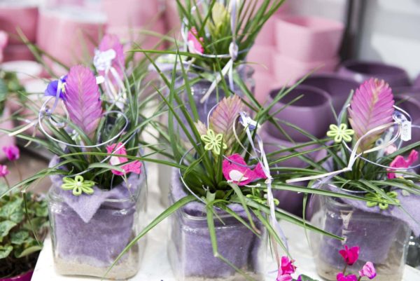 Blumenladen Ansbach Trockenblumen - Trockenblumenstrauß Blumen Heller