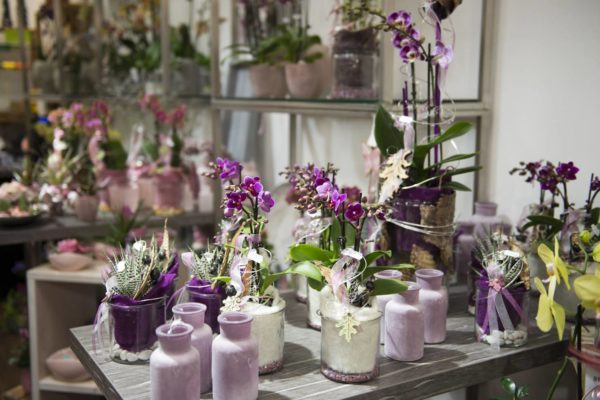 Blumenladen Ansbach Trockenblumen - Trockenblumenstrauß Blumen Heller