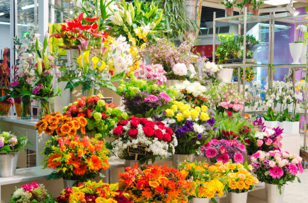 Blumenladen Ellwangen - Blumen Blumenladen Ellwangen - Blumen