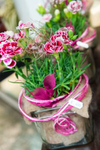 Blumenladen Ellwangen - Blumen Blumenladen Ellwangen - Blumen