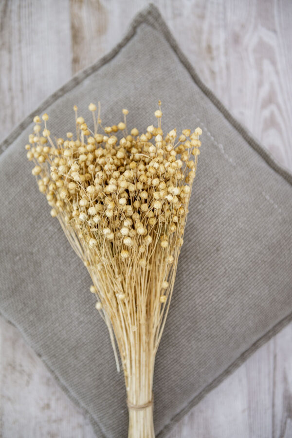 flachs vanille