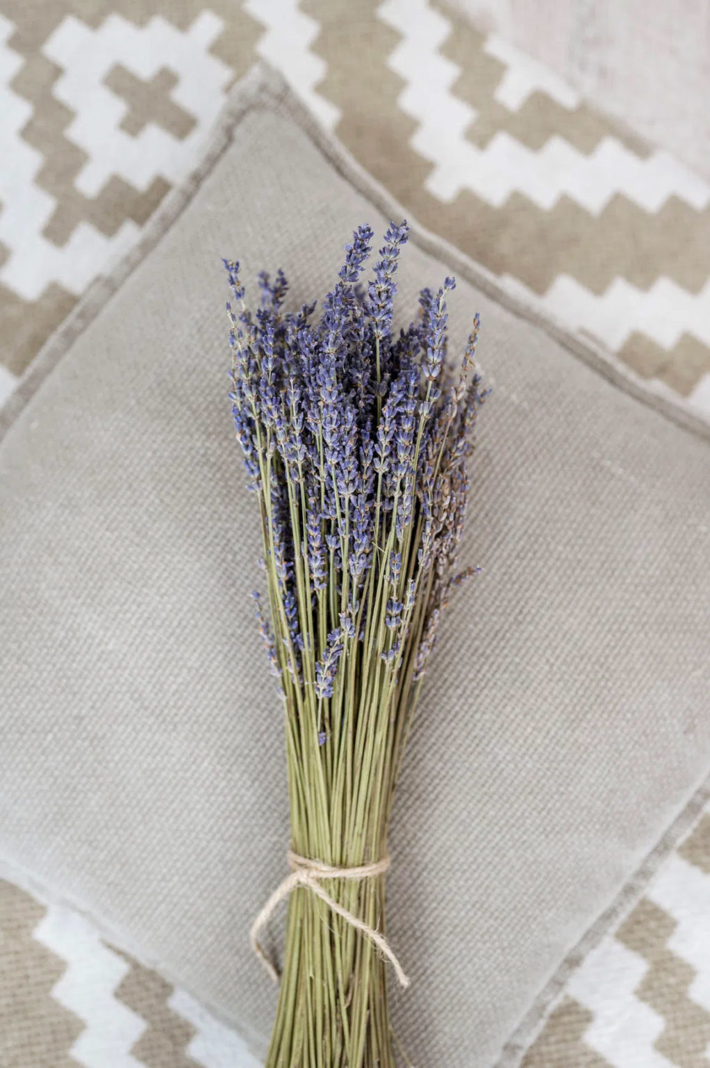 Lavendel getrocknet | natur 1 Bund online kaufen