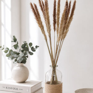 Pampasgras "Foxtail" mini 65cm (1 Bund)