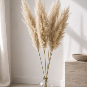 Pampasgras fluffig Pumila "Classic" 115cm (1 Stk.)