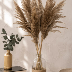 Pampasgras "Fluffy" natur | (1 Bund / 6 Stk.)