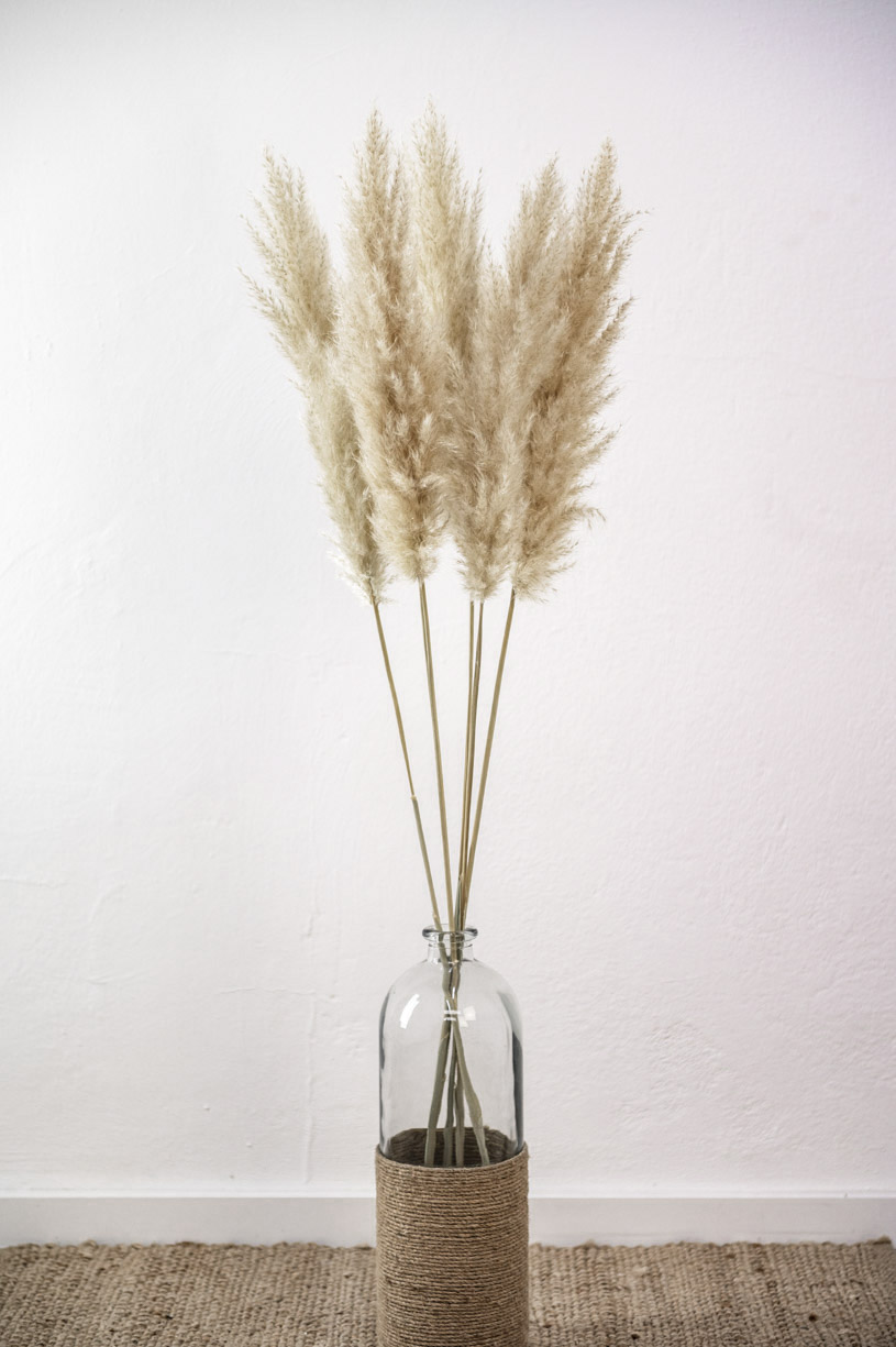 Trockenblumen - Trockenblumenstrauß - Pampasgras - Trockenblumen Pampasgras