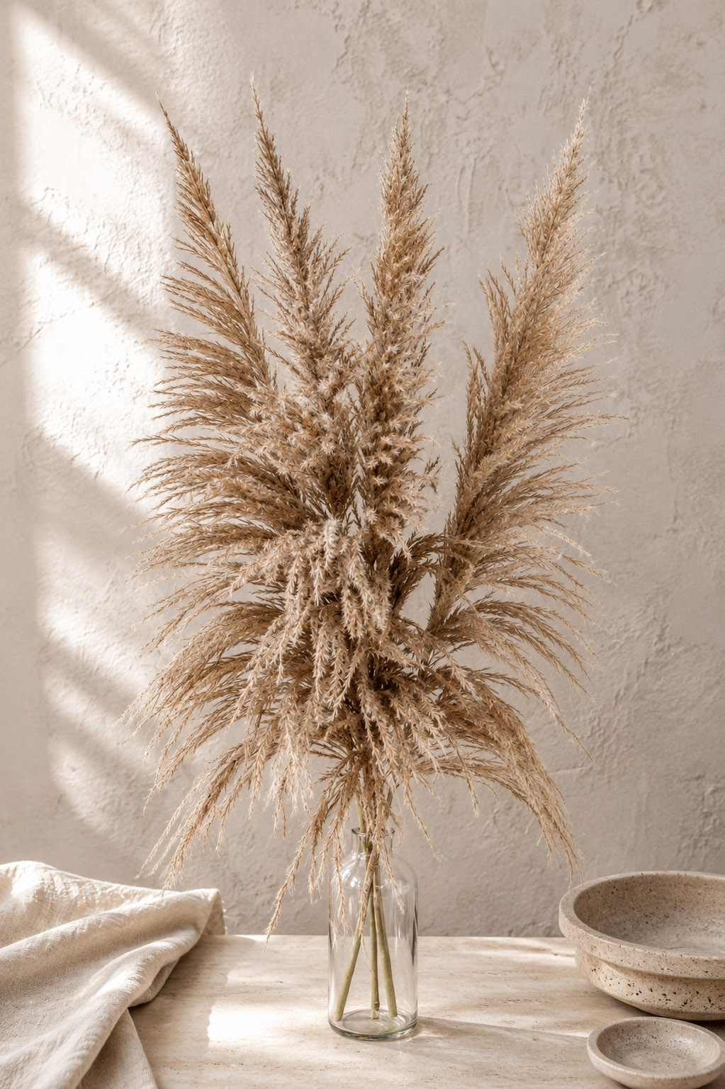 Trockenblumen - Trockenblumenstrauß - Pampasgras - Pampasgras getrocknet "Selloana" natur 110cm (1 Bund)