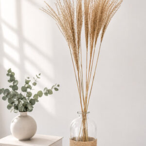 Silbergras "Graziella" natur 70cm (10 Stk.)