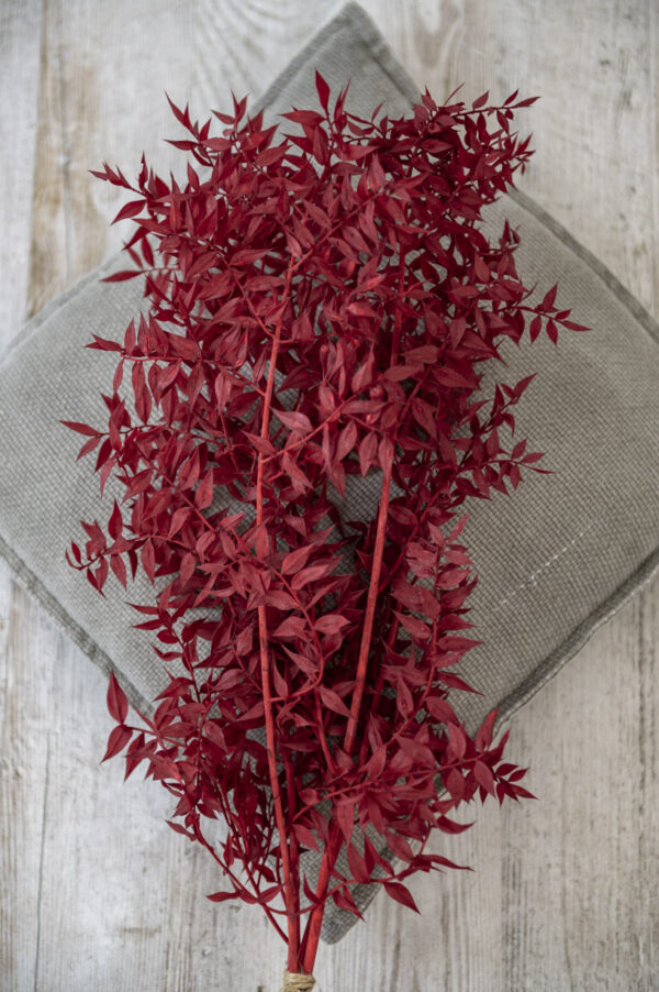 Trockenblumen | Blumen Heller