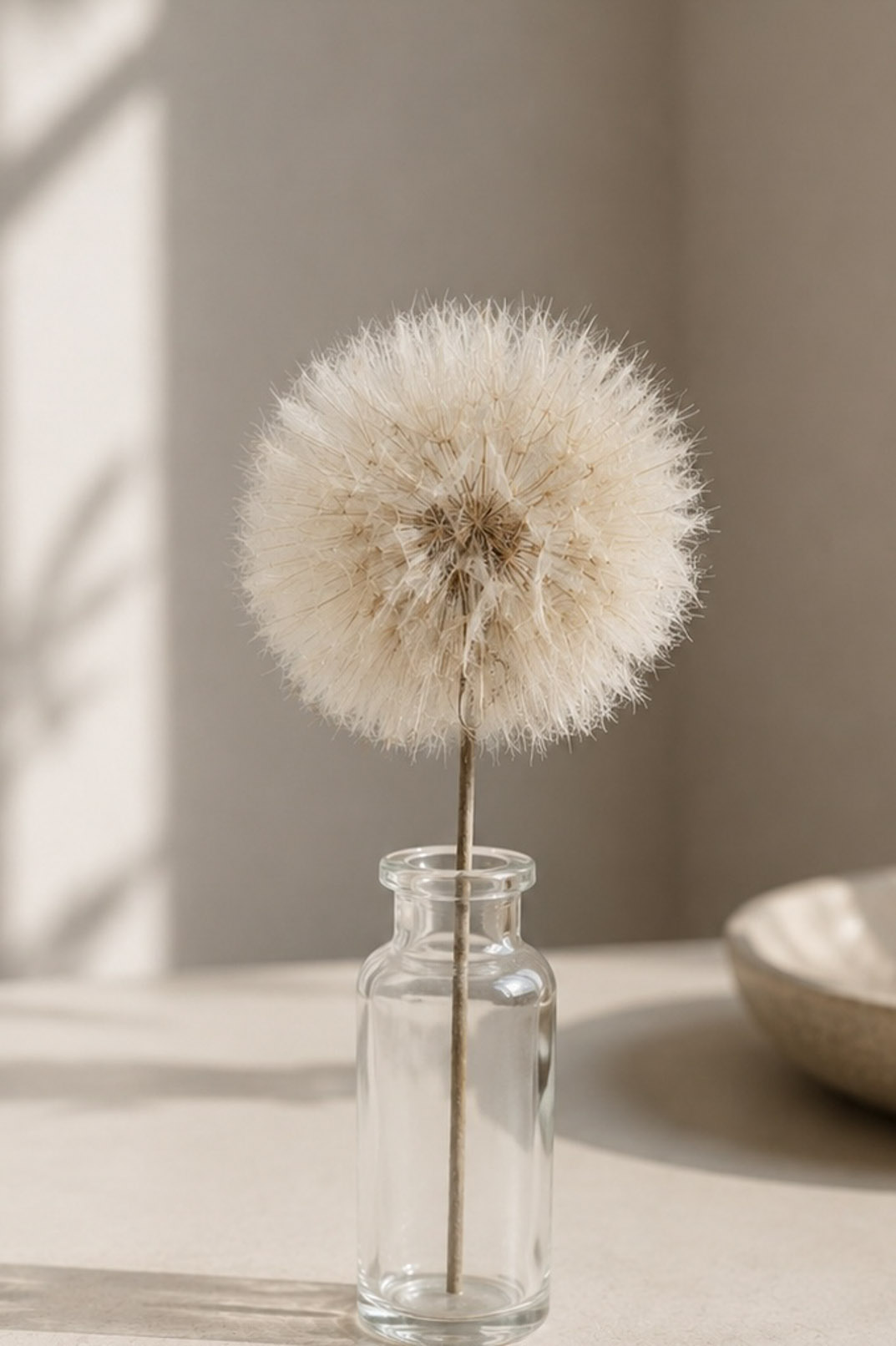 Trockenblumen - Trockenblumenstrauß - Pampasgras - stabilisierte pusteblume