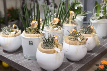 Blumenladen Rothenburg Trockenblumen - Trockenblumenstrauß Blumen Heller