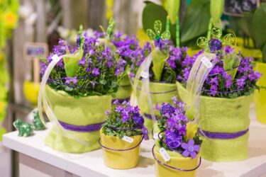 Blumenladen Rothenburg Trockenblumen - Trockenblumenstrauß Blumen Heller