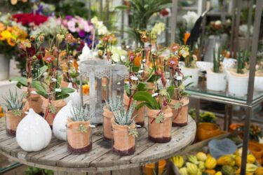 Blumenladen Rothenburg Trockenblumen - Trockenblumenstrauß Blumen Heller