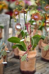 Blumenladen Rothenburg Trockenblumen - Trockenblumenstrauß Blumen Heller