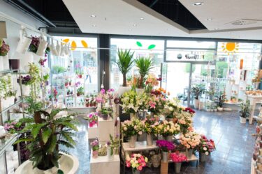 Blumenladen Ansbach Brücken-Center Trockenblumen - Trockenblumenstrauß Blumen Heller