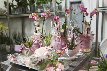 Blumenladen Rothenburg Trockenblumen - Trockenblumenstrauß Blumen Heller