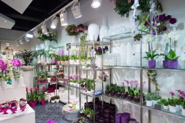 Blumenladen Ansbach Brücken-Center Trockenblumen - Trockenblumenstrauß Blumen Heller