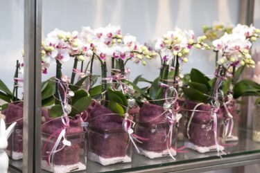 Blumenladen Ansbach Brücken-Center Trockenblumen - Trockenblumenstrauß Blumen Heller