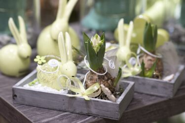 Blumenladen Ansbach Brücken-Center Trockenblumen - Trockenblumenstrauß Blumen Heller