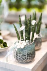 Blumenladen Ansbach Brücken-Center Trockenblumen - Trockenblumenstrauß Blumen Heller