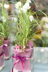 Blumenladen Ansbach Brücken-Center Trockenblumen - Trockenblumenstrauß Blumen Heller