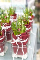 Blumenladen Ansbach Brücken-Center Trockenblumen - Trockenblumenstrauß Blumen Heller