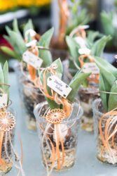 Blumenladen Ansbach Brücken-Center Trockenblumen - Trockenblumenstrauß Blumen Heller